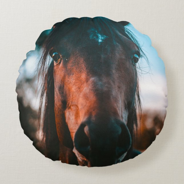 COUSSINS RONDS PORTRAIT CHEVAL (Devant)