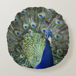Coussins Ronds Portrait de paon avec des plumes