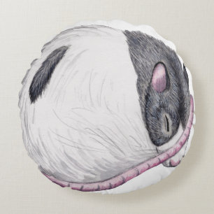 Coussins Ronds rat dormant autour du carreau