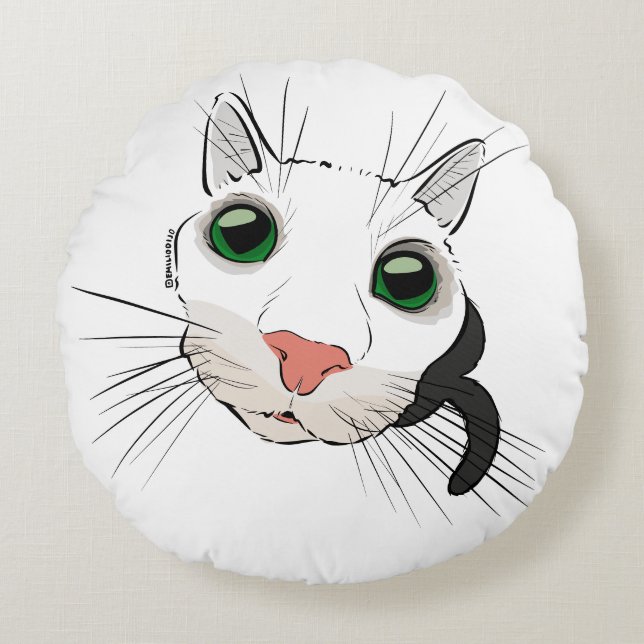 Coussins Ronds Recherche de chat (Devant)