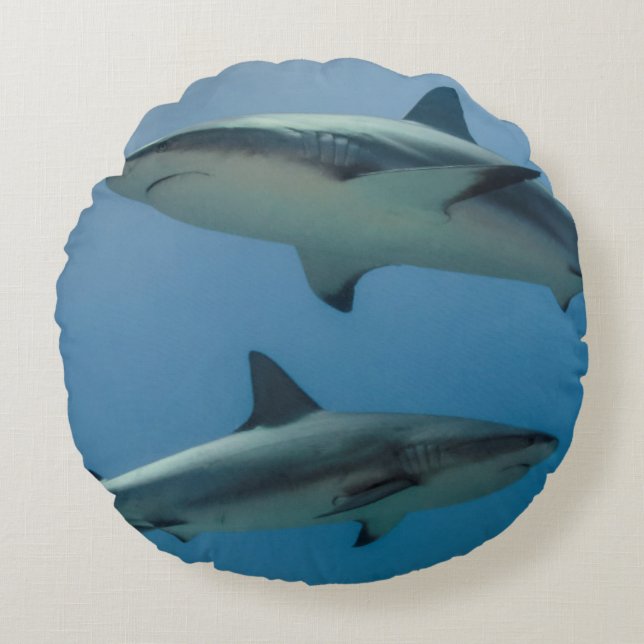 Coussins Ronds Requin des récifs des Caraïbes (Devant)