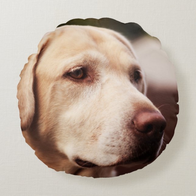 Coussins Ronds Retriever du Labrador (Devant)