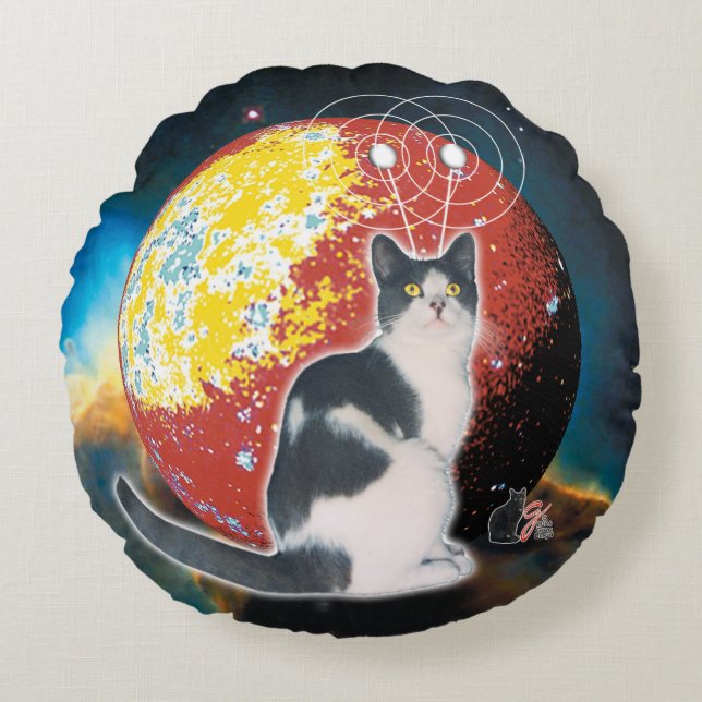 Coussins Ronds Robo Cat Hobo (Devant)