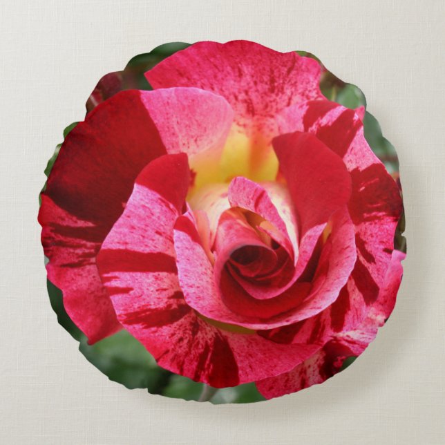 Coussins Ronds Rose rouge (Devant)