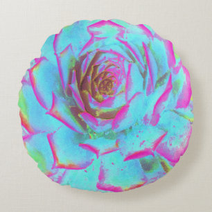 Coussins Ronds Rosette Succulente rose et bleu chaud