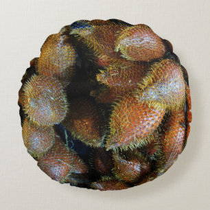 Coussins Ronds Salak [Fruit du Serpent]