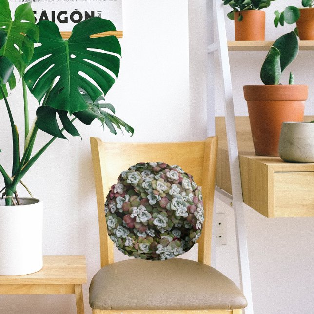 Coussins Ronds Sedum Spathulifolium Succulents Floral (In Situ Chair)