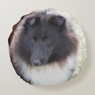 Coussins Ronds Sheltie adorable