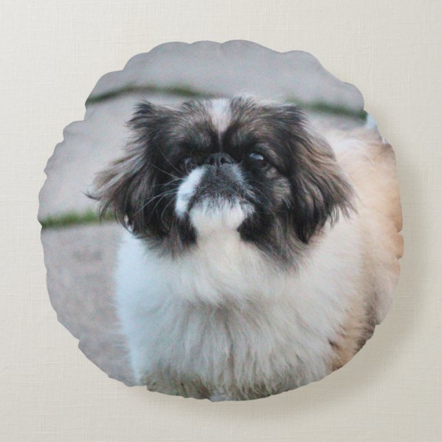 Coussins Ronds Shih Tzu (Devant)