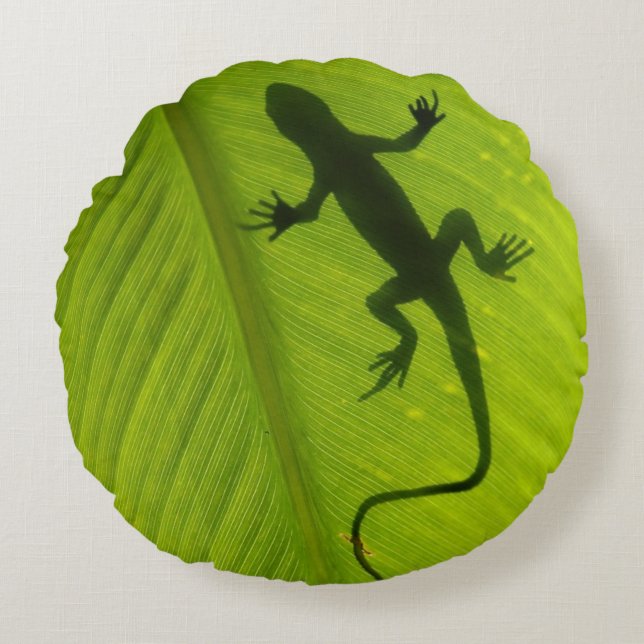 Coussins Ronds Silhouette de Gecko (Devant)