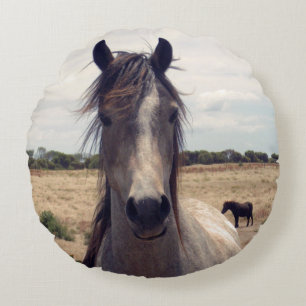 Coussins Ronds Star The Arab Pony,