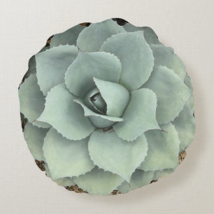 Coussins Ronds Succulent gris frais d'agave