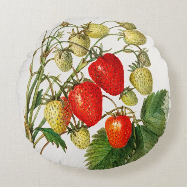 Coussins Ronds Succursale vintage de fraises (Devant)