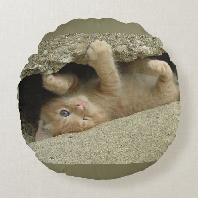 Coussins Ronds Super Hero Orange Tabby Kitten (Devant)