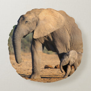 Coussins Ronds Sur African Elephant mother and calf on the move