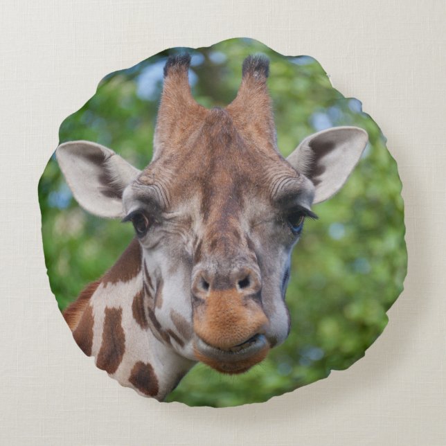 Coussins Ronds Sweet Curios Giraffe (Dos)