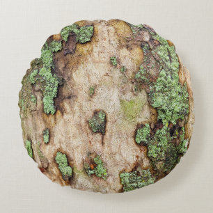 Coussins Ronds Sycamore arbre écorce mousse Lichen