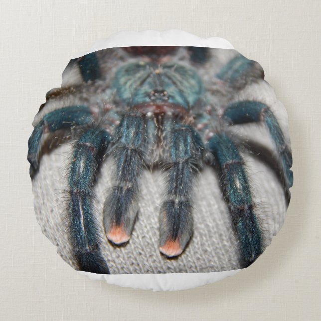 Coussins Ronds tarantule bleue (Devant)