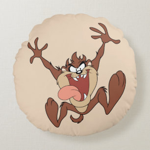 COUSSINS RONDS TAZ™
