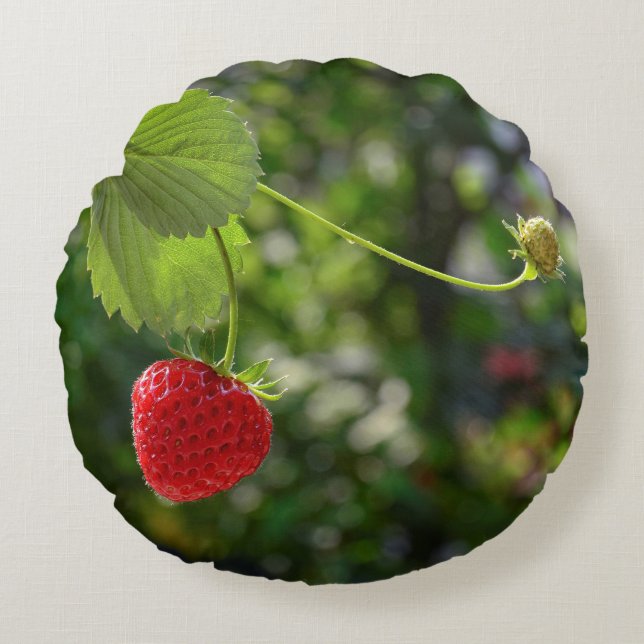 Coussins Ronds Temps délicieux aux fraises (Devant)