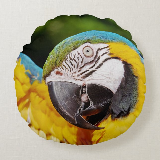 Coussins Ronds Tête d'un Macaw bleu et jaune (Devant)