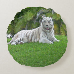 Coussins Ronds Tigre Blanc au repos dans une prairie verte calme