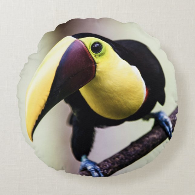 Coussins Ronds Toucan du Costa Rica (Devant)