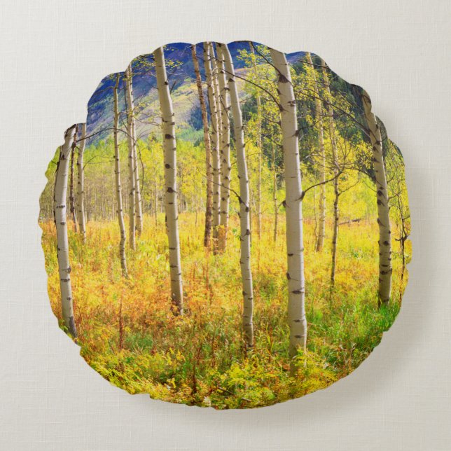 Coussins Ronds Trembles en automne dans les Rocheuses (Devant)
