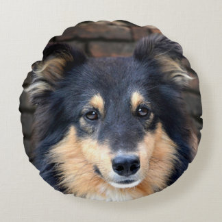 Coussins Ronds Tricolor Sheltie