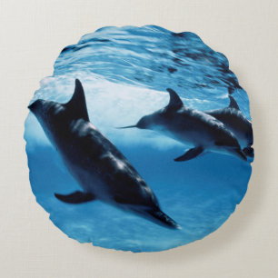 Coussins Ronds Trio de dauphins