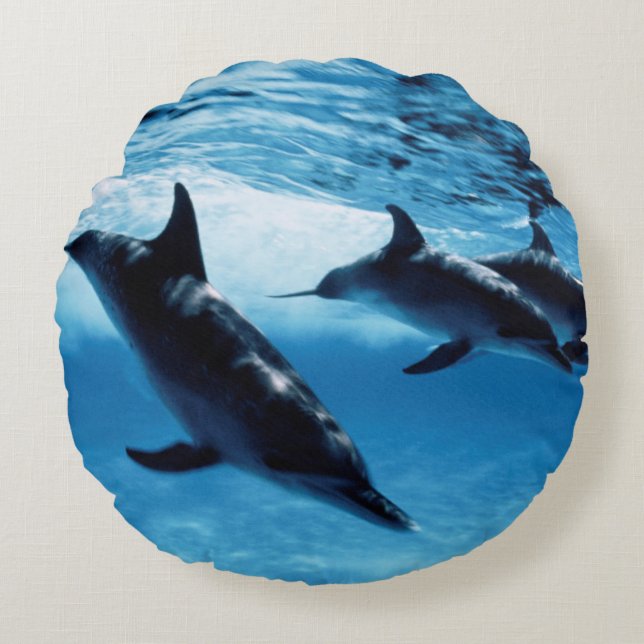 Coussins Ronds Trio de dauphins (Devant)