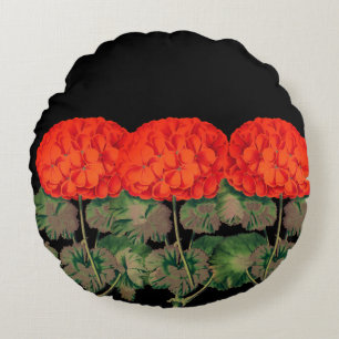 Coussins Ronds Trio de géranium Vintage - floral audacieux   