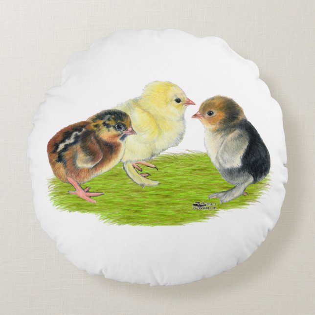 Coussins Ronds Trio de poussins (Devant)