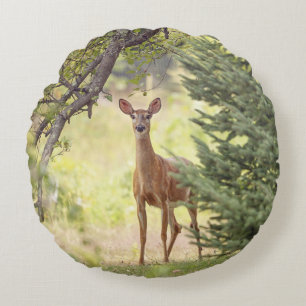 Coussins Ronds Un cerf solitaire