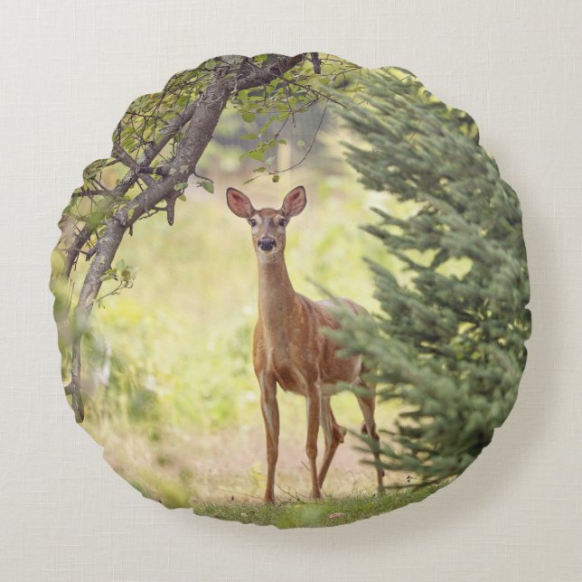 Coussins Ronds Un cerf solitaire  (Devant)