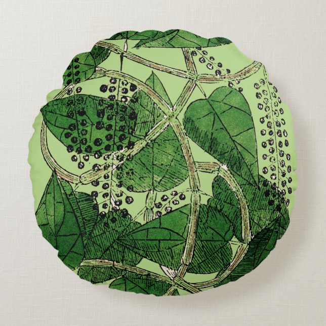 Coussins Ronds Usine de poivre noir, 1578 (Devant)