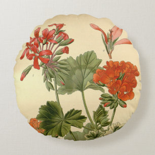 Coussins Ronds Vintage Botanique Zonal Geranium Floral Illustrati
