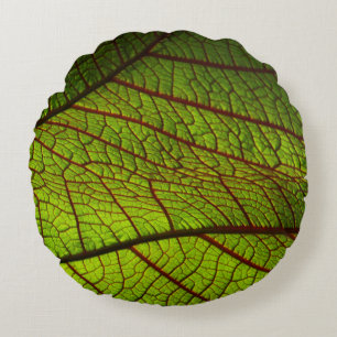 Coussins Ronds Vitres feuille de macro veines feuille vert