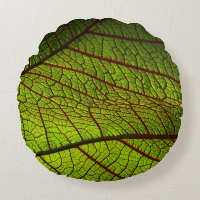 Coussins Ronds Vitres feuille de macro veines feuille vert (Devant)