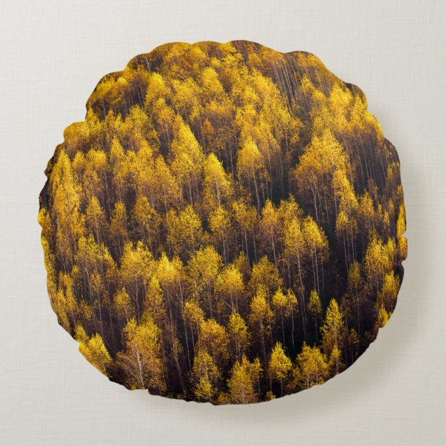 COUSSINS RONDS VUE AÉRIENNE DE LA FORÊT (Devant)