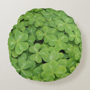 Coussins Ronds Vue d'Oxalis Oregana feuillage d'oseille des bois
