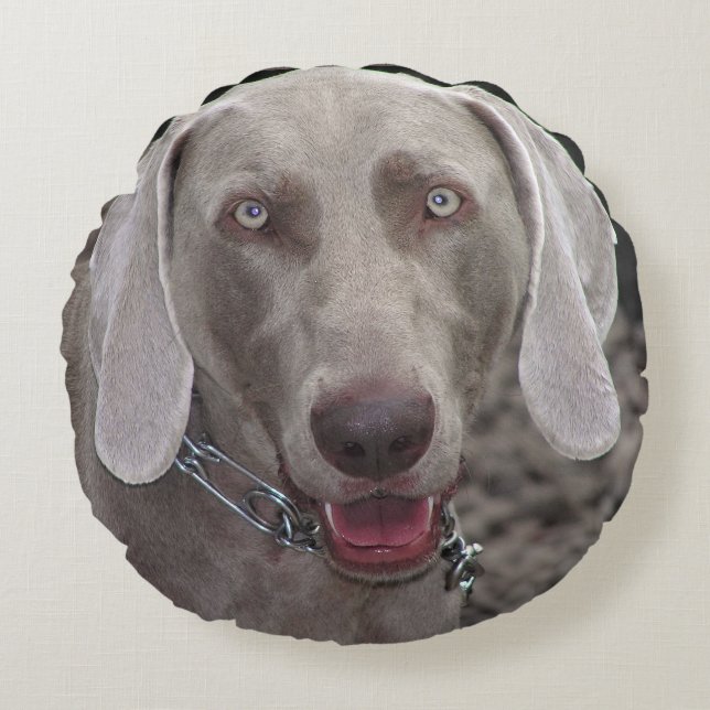 Coussins Ronds Weimaraner (Devant)