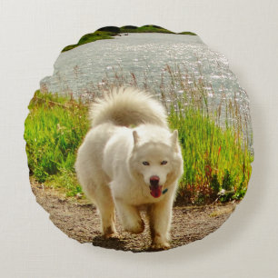 Coussins Ronds Yeux blancs Husky Bleus :