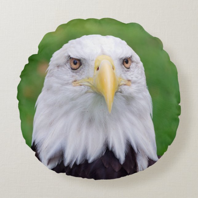 Coussins Ronds Yeux d'un aigle (Devant)