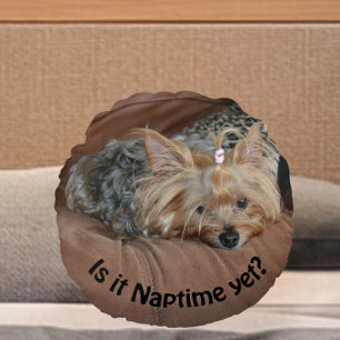 Coussins Ronds Yorkshire Sleepy Terrier Est Il Naptime Pourtant