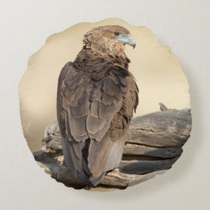 Coussins Ronds Young Bateleur