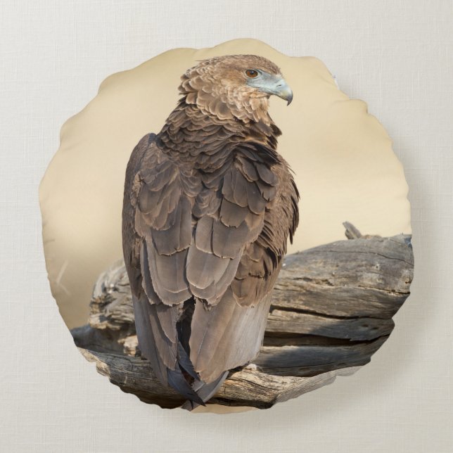 Coussins Ronds Young Bateleur (Dos)