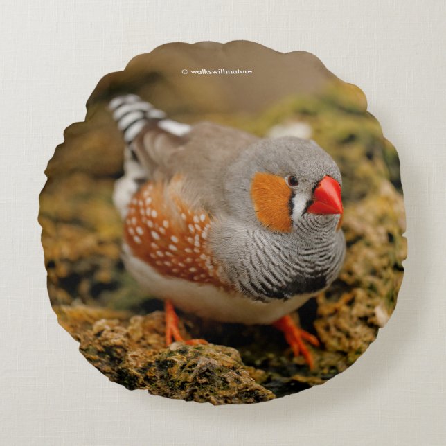 Coussins Ronds Zebra Finch sur les rochers (Devant)