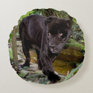 Coussins Ronds Zoo de Belize City. Panthère noire