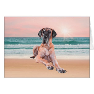 Coutume Grand Chien Danse assis sur la plage